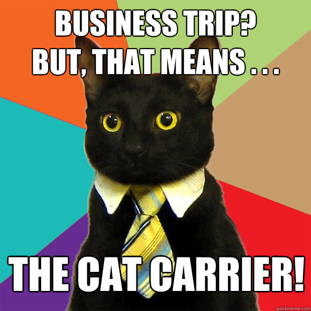 Business trip?
But, that means . . . The cat carrier!  Business Cat