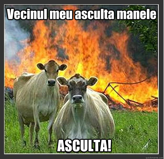 Vecinul meu asculta manele  ASCULTA!  Evil cows