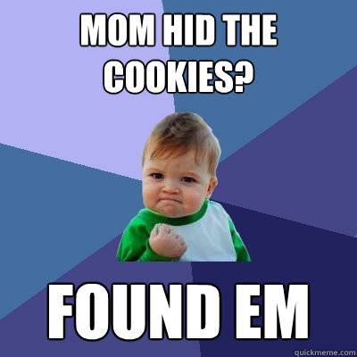 mom hid the cookies? found em  Success Kid