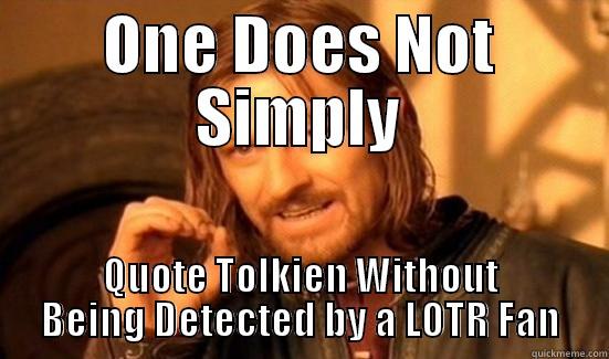 ONE DOES NOT SIMPLY QUOTE TOLKIEN WITHOUT BEING DETECTED BY A LOTR FAN Boromir