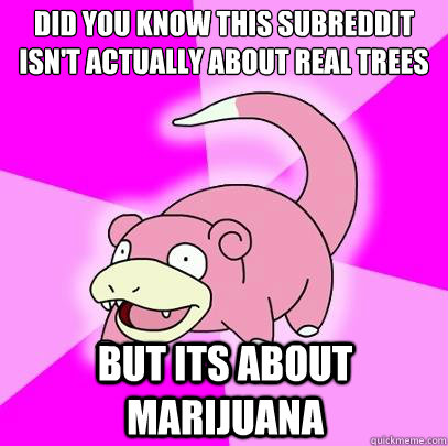 Did you know this subreddit isn't actually about real trees But its about marijuana   Slowpoke