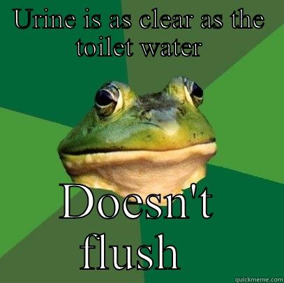 URINE IS AS CLEAR AS THE TOILET WATER DOESN'T FLUSH  Foul Bachelor Frog