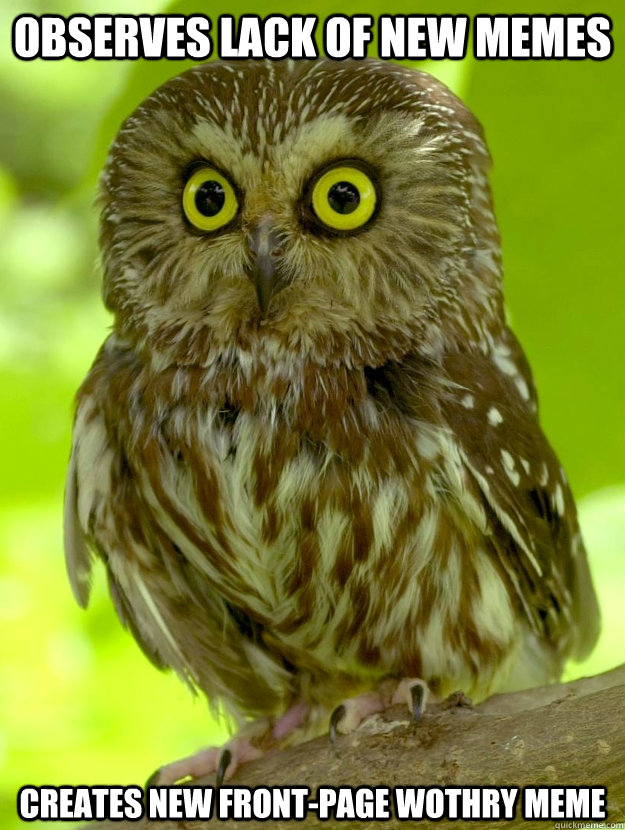 Observes lack of new Memes Creates new front-page wothry meme  Observational Owl