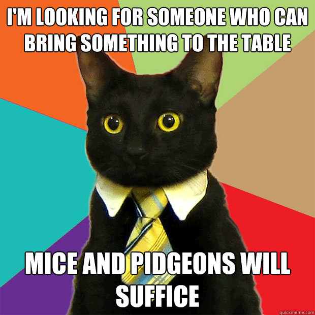 i'm looking for someone who can bring something to the table mice and pidgeons will suffice  Business Cat