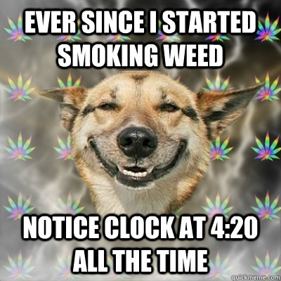 Ever since I started smoking weed notice clock at 4:20 all the time  Stoner Dog