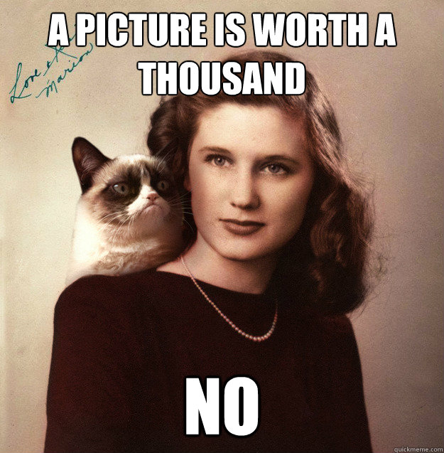 A picture is worth a thousand no  Grumpy Cat Portrait