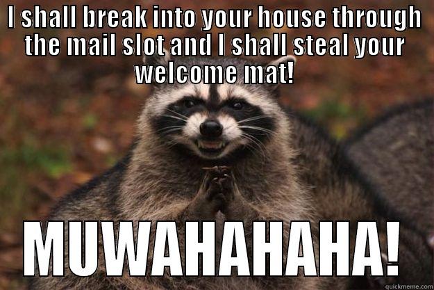 I SHALL BREAK INTO YOUR HOUSE THROUGH THE MAIL SLOT AND I SHALL STEAL YOUR WELCOME MAT! MUWAHAHAHA! Evil Plotting Raccoon