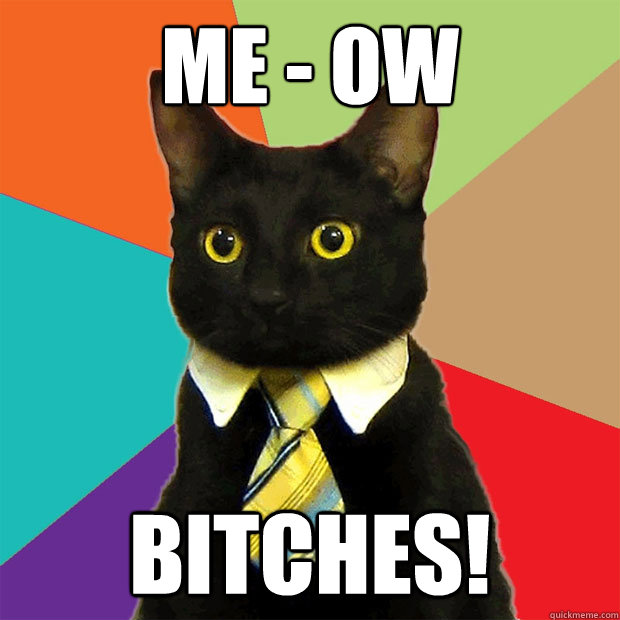 ME - OW Bitches!  Business Cat