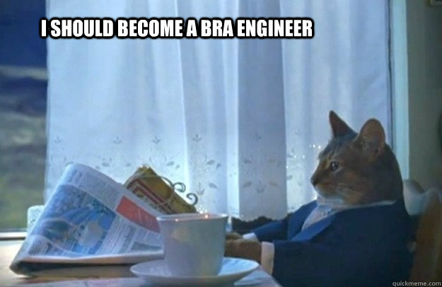 I should become a bra engineer  Sophisticated Cat