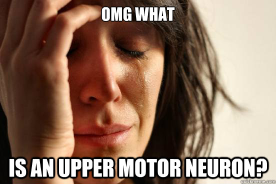 omg WHAT is an upper motor neuron?  First World Problems