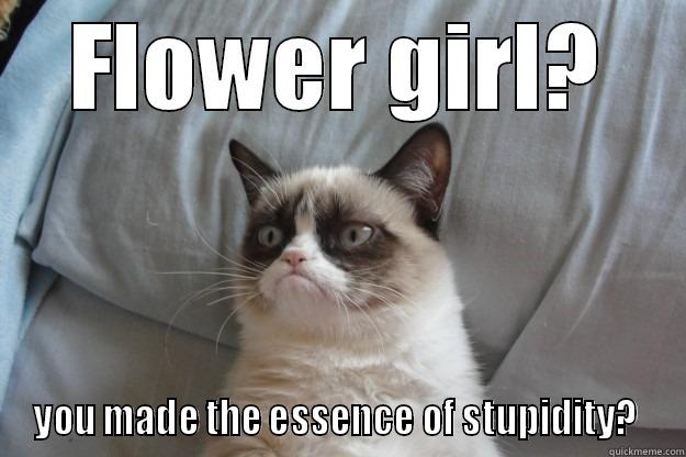 FLOWER GIRL? YOU MADE THE ESSENCE OF STUPIDITY?  Grumpy Cat