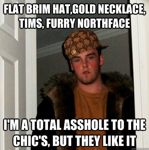 Flat brim hat,gold necklace, tims, furry northface  i'm a total asshole to the chic's, but they like it  Scumbag Steve