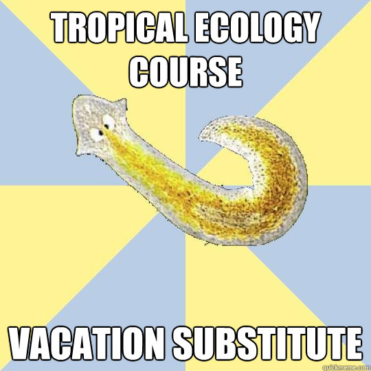 tropical ecology course vacation substitute  Bio Major Planarian