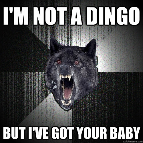 I'm not a dingo but I've got your baby  Insanity Wolf