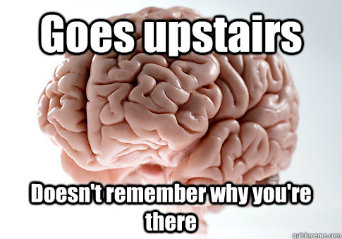 Goes upstairs Doesn't remember why you're there  Scumbag Brain