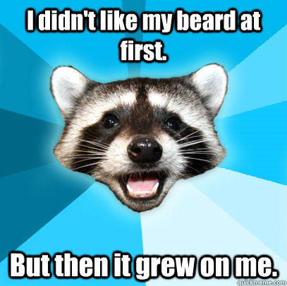 I didn't like my beard at first. But then it grew on me. - I didn't like my beard at first. But then it grew on me.  Lame Pun Coon