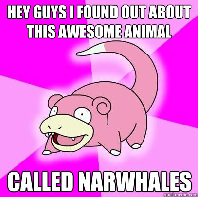 Hey guys I found out about this awesome animal
 Called narwhales  Slowpoke