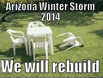 ARIZONA WINTER STORM 2014  WE WILL REBUILD Misc