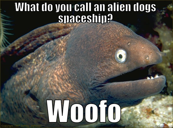 WHAT DO YOU CALL AN ALIEN DOGS SPACESHIP? WOOFO Bad Joke Eel