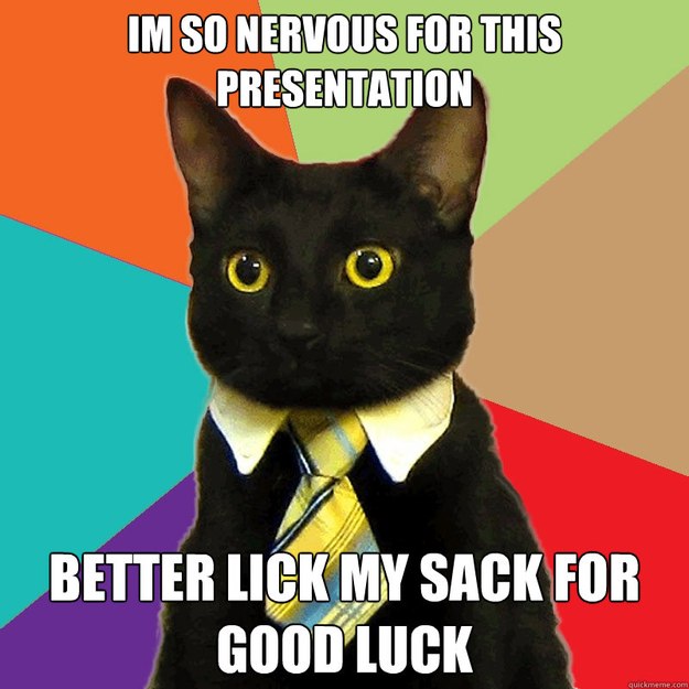 Im so nervous for this presentation Better lick my sack for good luck  Business Cat