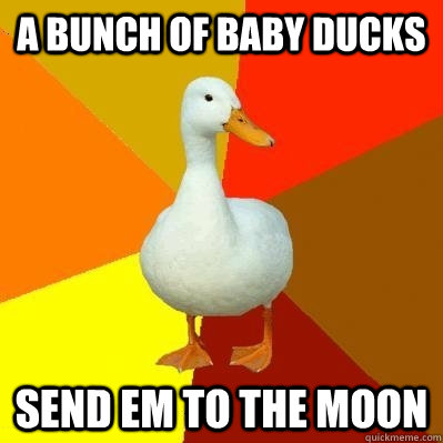 a bunch of baby ducks send em to the moon  Tech Impaired Duck