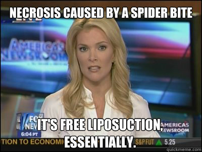 necrosis caused by a spider bite It's free liposuction, essentially.  Megyn Kelly