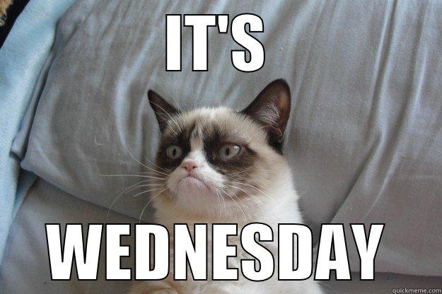 IT'S WEDS - IT'S WEDNESDAY Grumpy Cat