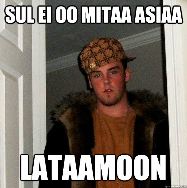 Sul ei oo mitaa asiaa lataamoon  Scumbag Steve