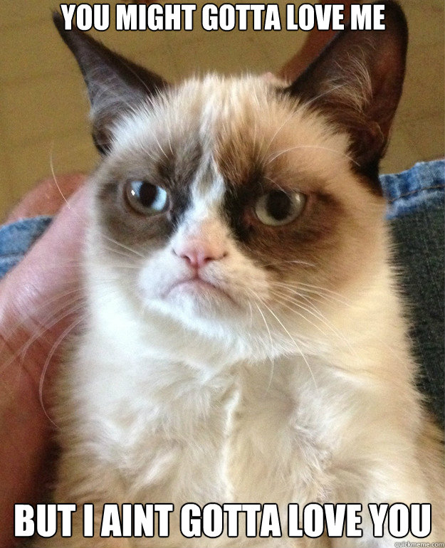 you might gotta love me but i aint gotta love you  Grumpy Cat