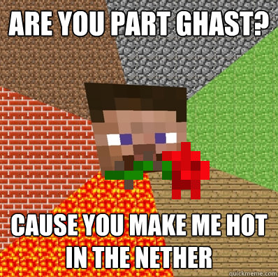 ARE YOU PART GHAST? CAUSE YOU MAKE ME HOT IN THE NETHER - ARE YOU PART GHAST? CAUSE YOU MAKE ME HOT IN THE NETHER  Sexy Steve