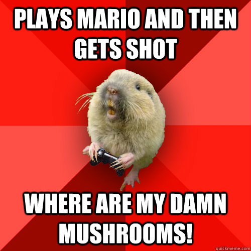 Plays Mario and then gets Shot Where are my DAMN MUSHROOMS!  Gaming Gopher