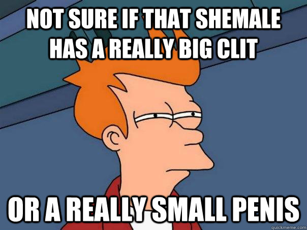 Not sure if that shemale has a really big clit or a really small penis  Futurama Fry