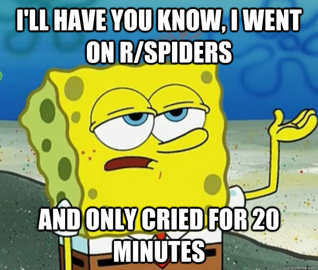 I'll have you know, I went on r/spiders And only cried for 20 minutes - I'll have you know, I went on r/spiders And only cried for 20 minutes  Tough Spongebob