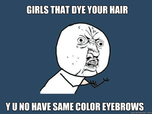 girls that dye your hair y u no have same color eyebrows  Y U No