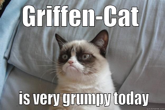 Griffen Cat is Grumpy -  GRIFFEN-CAT      IS VERY GRUMPY TODAY   Grumpy Cat