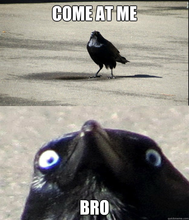 Come at me bro  Insanity Crow