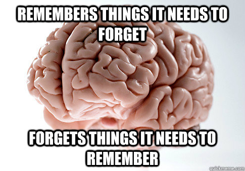 remembers things it needs to forget forgets things it needs to remember  Scumbag Brain