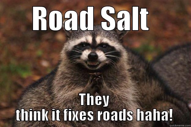 ROAD SALT  THEY THINK IT FIXES ROADS HAHA! Evil Plotting Raccoon