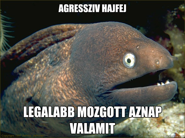 agressziv hajfej legalabb mozgott aznap valamit  Bad Joke Eel