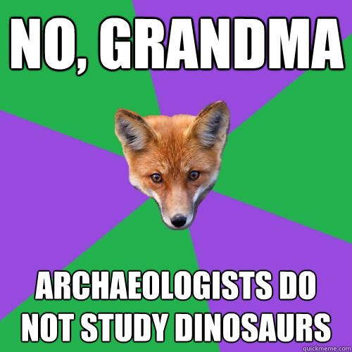 No, Grandma Archaeologists do not study dinosaurs  Anthropology Major Fox