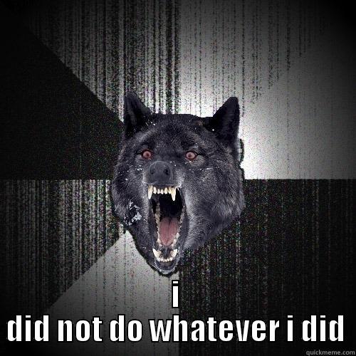  I DID NOT DO WHATEVER I DID Insanity Wolf