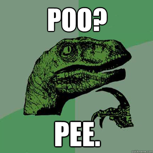 Poo? Pee.  Philosoraptor