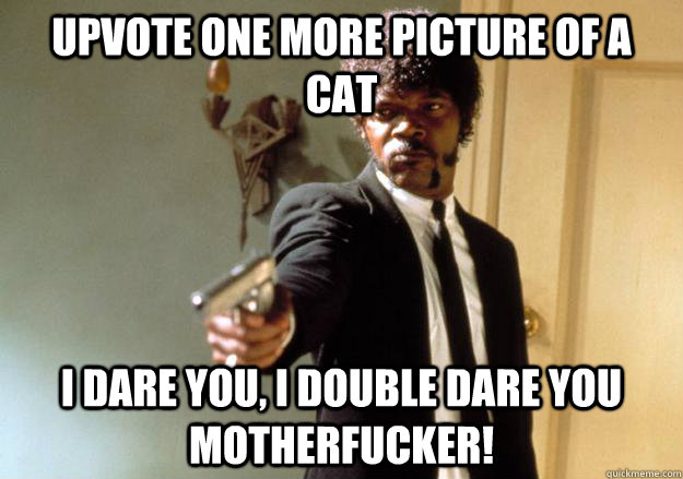 Upvote one more picture of a cat i dare you, i double dare you motherfucker!  Samuel L Jackson