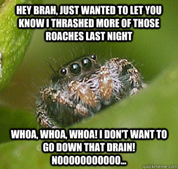 hey brah, just wanted to let you know i thrashed more of those roaches last night whoa, whoa, whoa! i don't want to go down that drain! nooooooooooo...  Misunderstood Spider