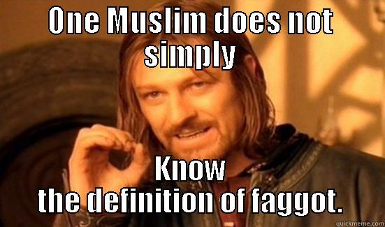 ONE MUSLIM DOES NOT SIMPLY KNOW THE DEFINITION OF FAGGOT. Boromir