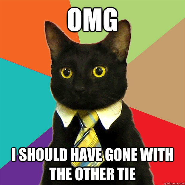 omg  i should have gone with the other tie  Business Cat