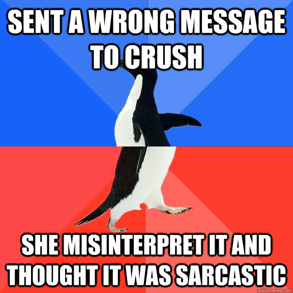 sent a wrong message to crush she misinterpret it and thought it was sarcastic  Socially Awkward Awesome Penguin