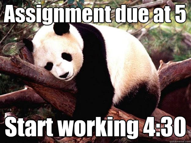 Assignment due at 5 Start working 4:30  Procrastination Panda