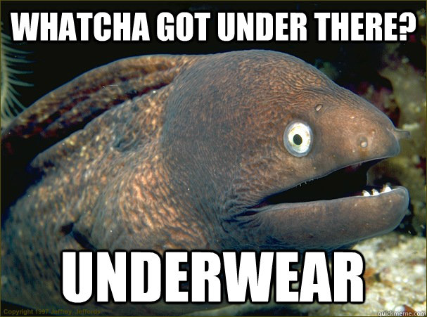 whatcha got under there? underwear  Bad Joke Eel