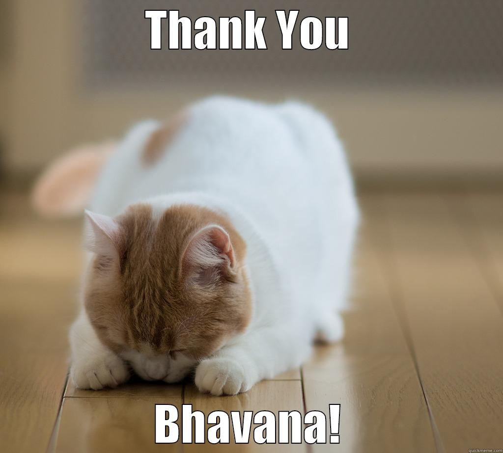 THANK YOU BHAVANA! Misc